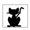 Druppeltjes - over katten